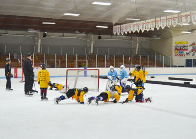 2019 Twin Ports Pro Development Hockey Camp