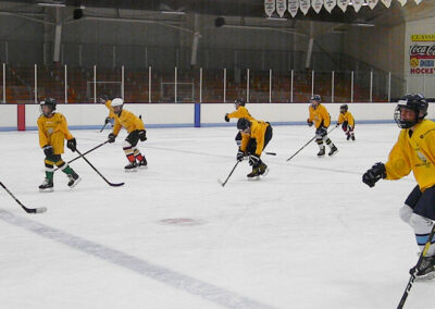 2019 Twin Ports Pro Development Hockey Camp